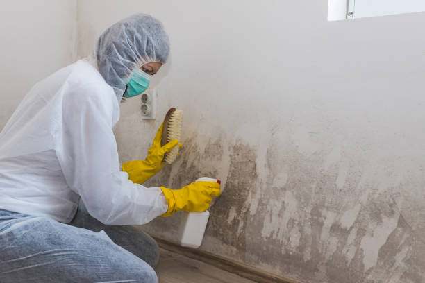 Attic Mold Removal in Groton, SD