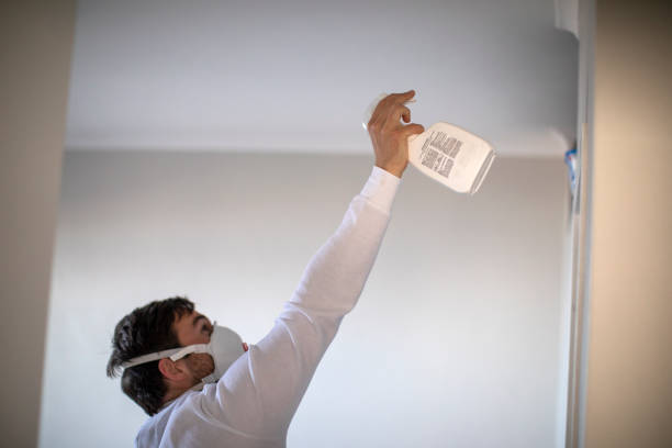 Best Mold Inspection  in Groton, SD